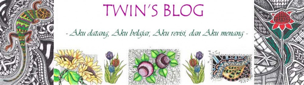 Twin's Blog